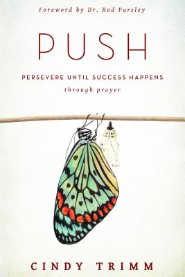 Coperta cărții 'Push: Persevere Until Success Happens Through Prayer - Cindy Trimm'