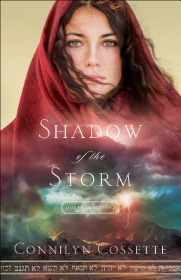 Shadow of the Storm - Connilyn Cossette