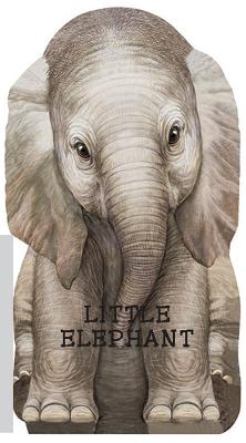 Little Elephant - Laura Rigo