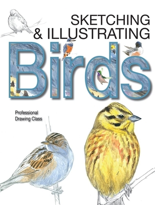 Sketching & Illustrating Birds: Professional Drawing Class - Juan Varela Sim�