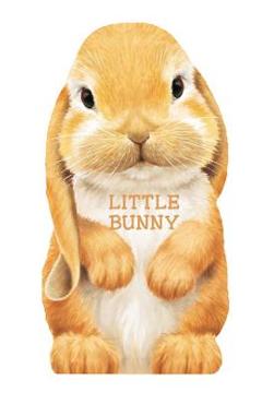 Coperta cărții 'Little Bunny - L. Rigo'