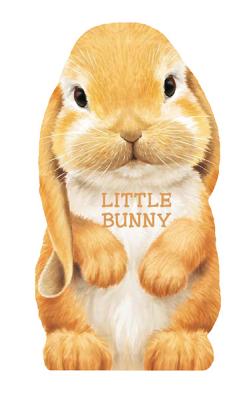 Little Bunny - L. Rigo
