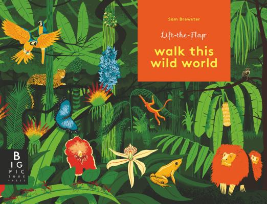 Walk This Wild World - Kate Baker