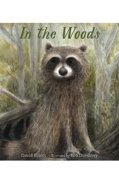 Coperta cărții 'In the Woods - David Elliott'