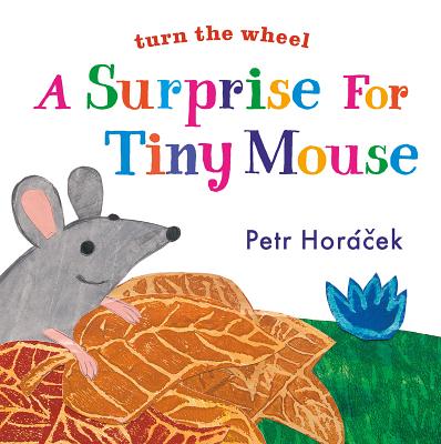 A Surprise for Tiny Mouse - Petr Horacek