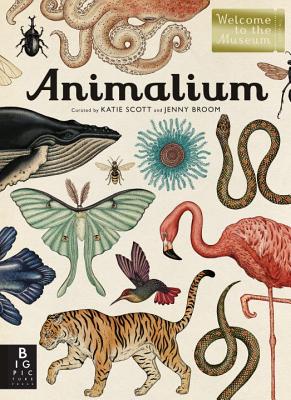 Animalium: Welcome to the Museum - Jenny Broom