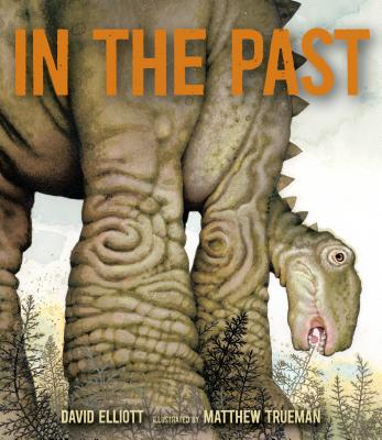 In the Past: From Trilobites to Dinosaurs to Mammoths in More Than 500 Million Years - David Elliott