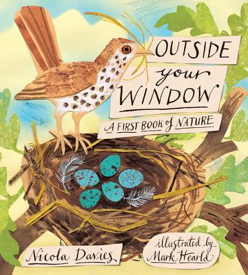 Outside Your Window: A First Book of Nature - Nicola Davies