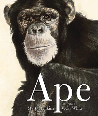 Ape - Martin Jenkins