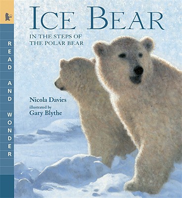 Ice Bear: In the Steps of the Polar Bear - Nicola Davies