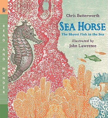 Sea Horse: The Shyest Fish in the Sea - Chris Butterworth