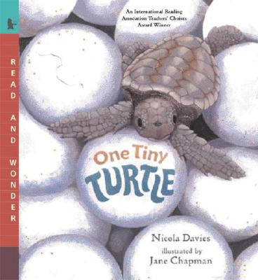 One Tiny Turtle: Read and Wonder - Nicola Davies