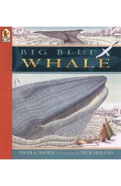 Coperta cărții 'Big Blue Whale - Nicola Davies'