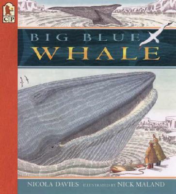 Coperta cărții 'Big Blue Whale - Nicola Davies'