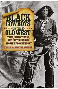 Black Cowboys of the Old West: True, Sensational, and Little-Known Stories from History - Tricia Martineau Wagner