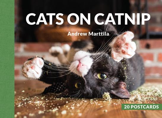 Cats on Catnip: 20 Postcards - Andrew Marttila