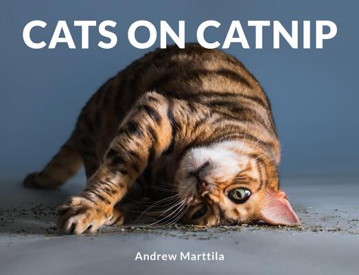 Cats on Catnip - Andrew Marttila
