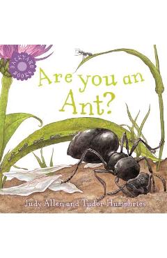 Poza produsului Are You an Ant? - Judy Allen