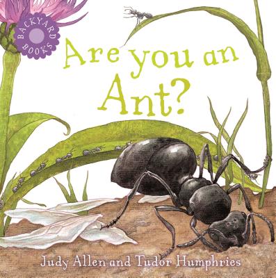 Are You an Ant? - Judy Allen