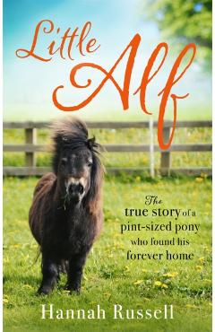 Little Alf: The True Story of a Pint-Sized Pony Who Found His Forever Home - Hannah Russell