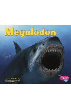 Coperta cărții 'Megalodon - Janet Riehecky'