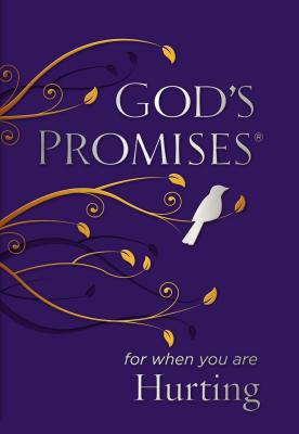 God's Promises for When You Are Hurting - Jack Countryman
