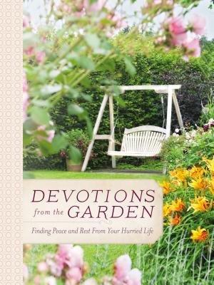 Devotions from the Garden: Finding Peace and Rest in Your Busy Life - Miriam Drennan