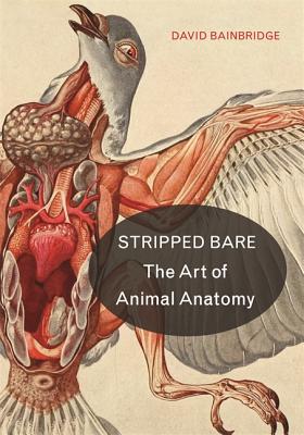 Stripped Bare: The Art of Animal Anatomy - David Bainbridge