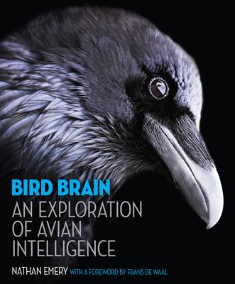 Bird Brain: An Exploration of Avian Intelligence - Nathan Emery