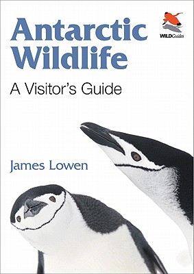 Antarctic Wildlife: A Visitor's Guide - James Lowen