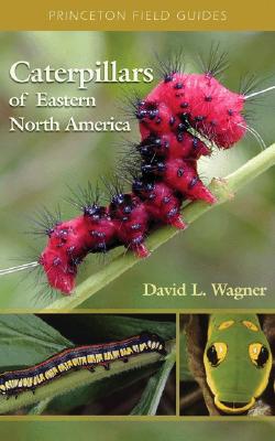 Caterpillars of Eastern North America: A Guide to Identification and Natural History - David L. Wagner