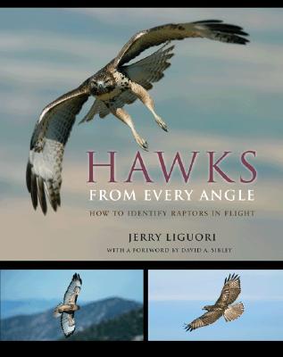 Hawks from Every Angle: How to Identify Raptors in Flight - Jerry Liguori