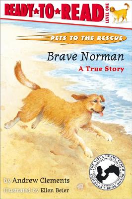 Brave Norman: A True Story - Andrew Clements