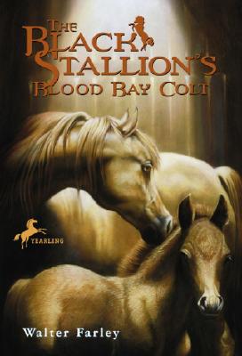 The Black Stallion's Blood Bay Colt: (reissue) - Walter Farley