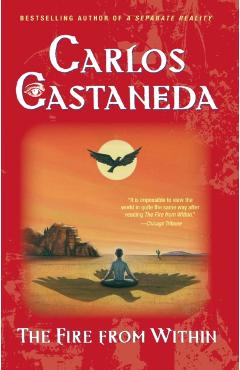 Fire from Within - Carlos Castaneda