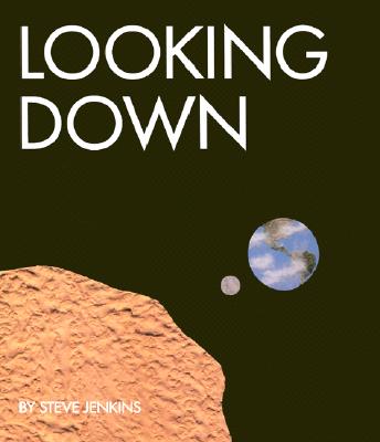 Looking Down - Steve Jenkins