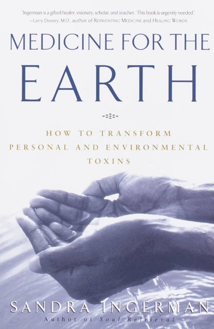 Medicine for the Earth: How to Transform Personal and Environmental Toxins - Sandra Ingerman