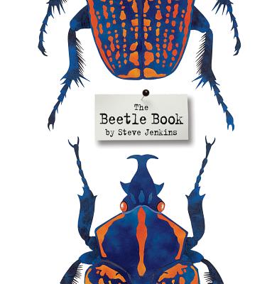 The Beetle Book - Steve Jenkins