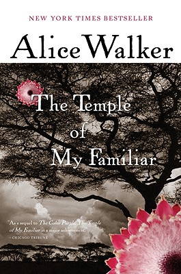 The Temple of My Familiar - Alice Walker