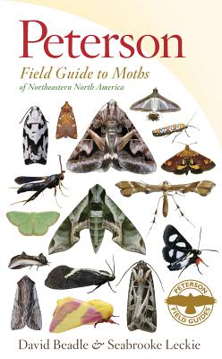 Peterson Field Guide to Moths of Northeastern North America - David Beadle