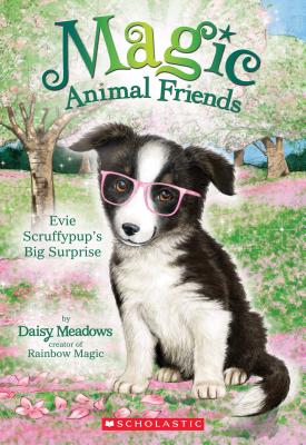 Evie Scruffypup's Big Surprise (Magic Animal Friends #10) - Daisy Meadows