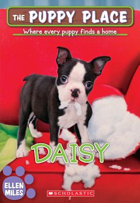 Daisy (the Puppy Place #38), Volume 38 - Ellen Miles