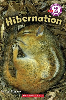Hibernation - Tori Kosara