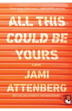 All This Could Be Yours - Jami Attenberg
