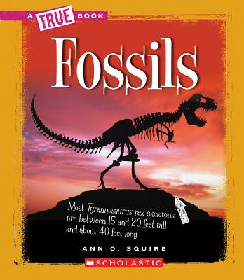 Fossils - Ann O. Squire