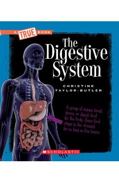 The Digestive System - Christine Taylor-butler