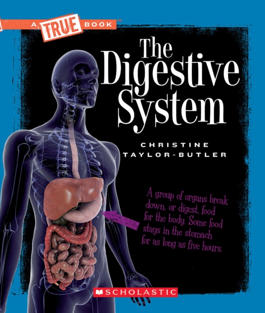 The Digestive System - Christine Taylor-butler