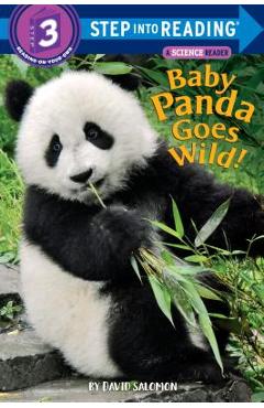 Coperta cărții 'Baby Panda Goes Wild! - David Salomon'