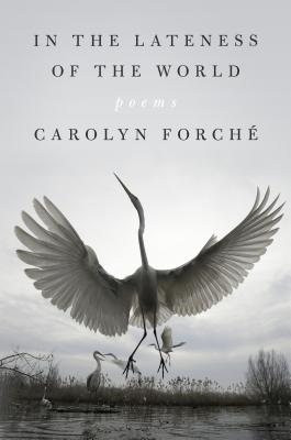In the Lateness of the World: Poems - Carolyn Forch�