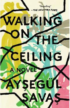 Walking on the Ceiling - Aysegl Savas